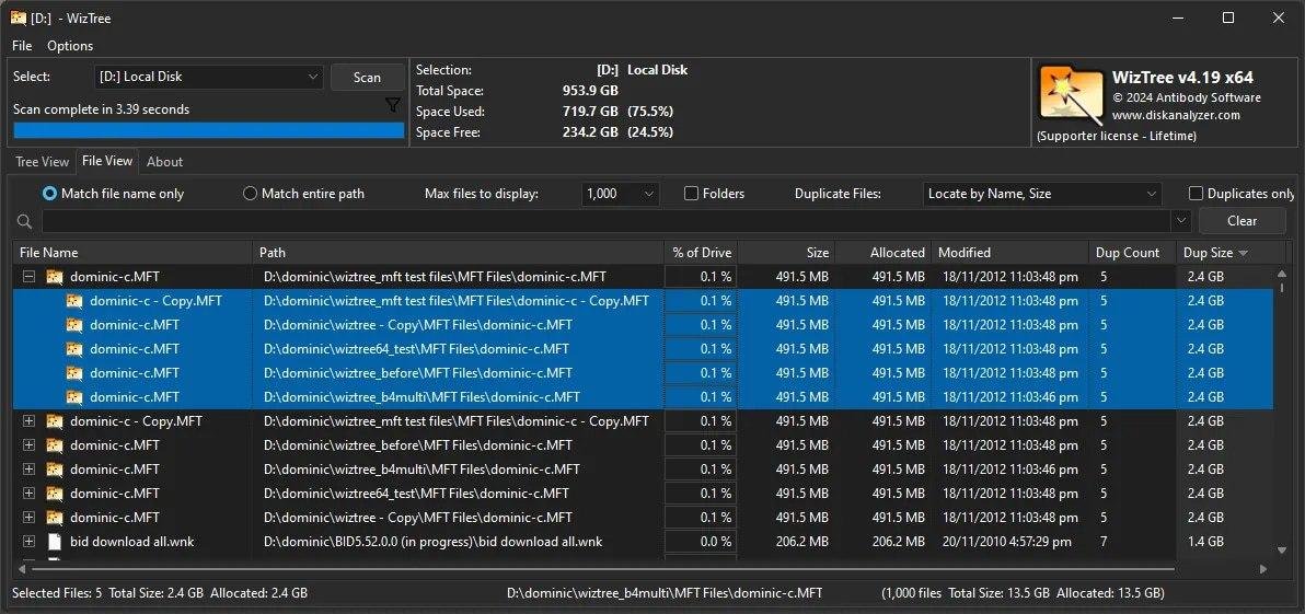 WizTree file types analysis showing disk usage by extension